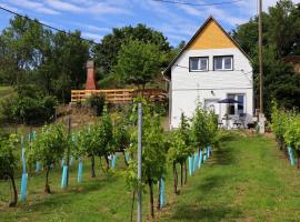 Szőlőskert Vendégház, cottage in Baj