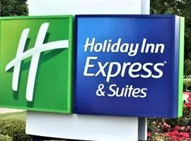 Holiday Inn Express & Suites - Detroit - Dearborn by IHG