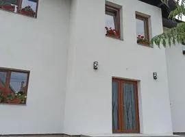 Casa Mucenic