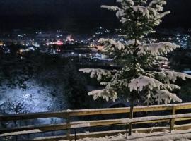 Panoramic Chalet, hotel di Vişeu de Sus