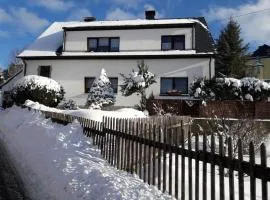 Ferienwohnung Zschorlau/Erzgebirge 03771 479123