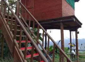 Miradores Del Oso Perezoso