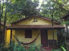 Aruá Observação de Vida Silvestre