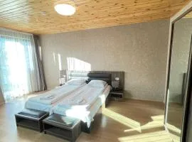 Hotel Elite House