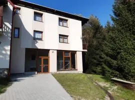 Apartmán U Čechů