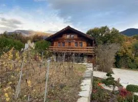 chalet à Savièse en bordure de forêt