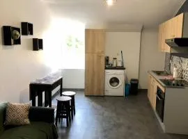 Appartement centre ville