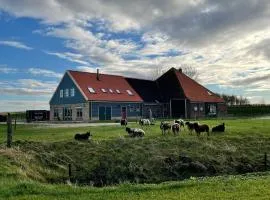 De Martha Hoeve