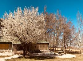 Posada Doña Tina, hotel in Tupungato