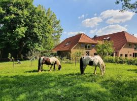 Leuk boerderijtje op prachtige plek, nabij natuurgebied, hotel i nærheden af Cristalmuseum, Ruurlo