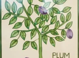 Casa Monte Cristo Apartments - Plum