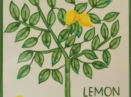 Casa Monte Cristo Apartments - Lemon