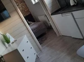 Apartament & Spa Rosa