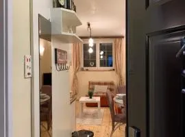 Ski-in & Ski-out, Apartman Filip - 30m from GONDOLA Brzeće