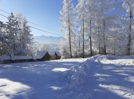 Pod Modrzewiem, homestay in Bukowina Tatrzańska