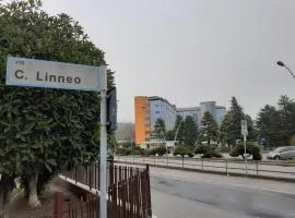 La Residenza di fronte all'Ospedale di Vittorio Veneto via Linneo