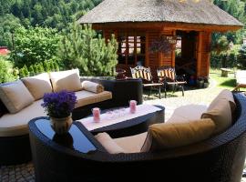 Willa Stareczka - regionalny wystrój, domowa atmosfera, хотел в Висла