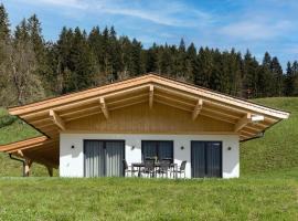 Ferienhaus zur Biene，位于瑟尔的别墅