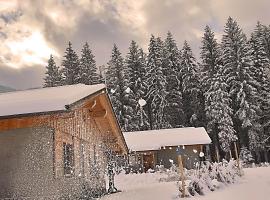 Dobringers Chalet-Dorf Warös，位于黑马戈尔的别墅