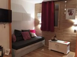 PARADISKI-BELLE PLAGNE, Altitude 2050m, APPART skis aux pieds 4 personnes