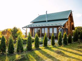 Country house Domik v derevne，Markovtsy的小屋