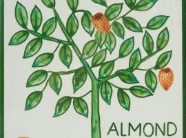 Casa Monte Cristo Apartments - Almond