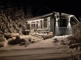 Gilė -'Virš Ąžuolų' - Forest SPA - Horses - Lake - Chalet