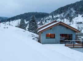Chalet de standing 9P avec sauna & salle d'escalade, cabin in La Bresse