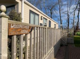 Woodpecker lodge, Camelot Holiday Park, CA6 5SZ, holiday home in Carlisle
