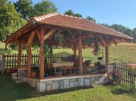 Domaćinstvo Sindžirević, cottage in Nova Varoš