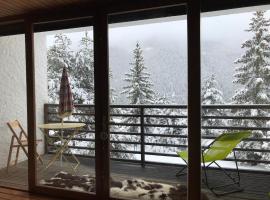 Superbe 2 pcs cabine terrasse vue féérique pistes et montagnes, hotel in Auron