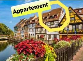 New ! VUE PETITE VENISE-PLACE TO BE OLD TOWN - PARKING