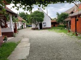 Casa Mari, hotel in Cîrţişoara