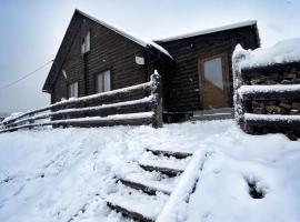 Cottage Marko, hytte i Lazeshchyna