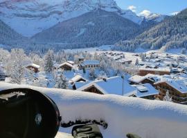 Studio avec vue splendide sur les Diablerets, hotel in Les Diablerets