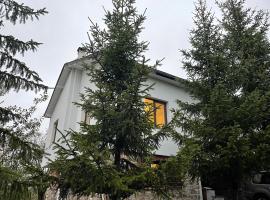 Kassandrov Guest House Ravnogor/ Касандрова къща Равногор、Ravnogorのホテル