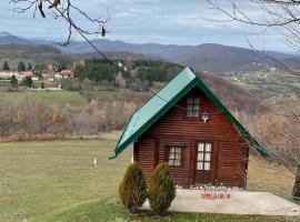 Brvnara Jovanovic Sirogojno, holiday rental in Sirogojno