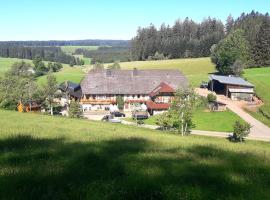 Willmannshof, viešbutis mieste Furtvangenas, netoliese – Bregtal Ski Lift