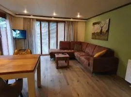 Gezellig chalet Doornspijk o11 - Recreation Only
