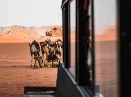 Desert shine camp