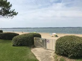 Arcachon Pereire bord de plage