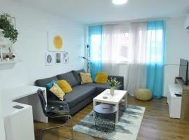 Central Apartment