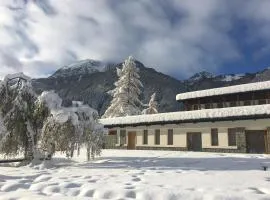 Gressoney Saint-Jean Halldis Apartments