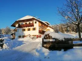 Haus Pichler Apartment