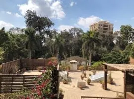 Lovely gorgeous apartment among green Maadi