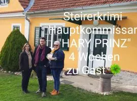 Ferienhaus Planetz