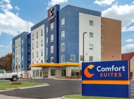 Comfort Suites Cottage Grove - Madison