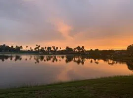 Stunning Sunset Scenes