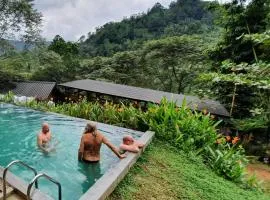 Sinharaja Forest Gate