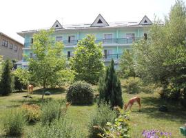 Green Hotel: Almatı'da bir kayak merkezi